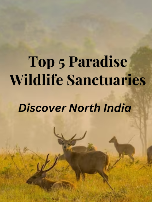 North India’ Top 5 Wildlife Sanctuary