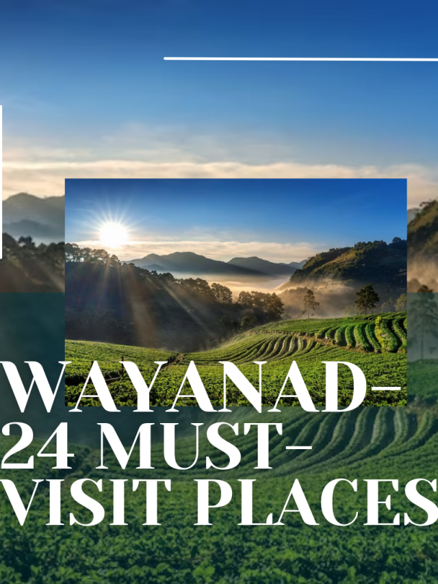 Top 10 Places to Visit in Wayanad