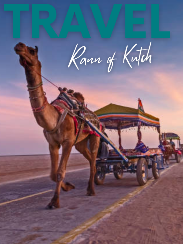 Explore Rann of Kutch – Tent City