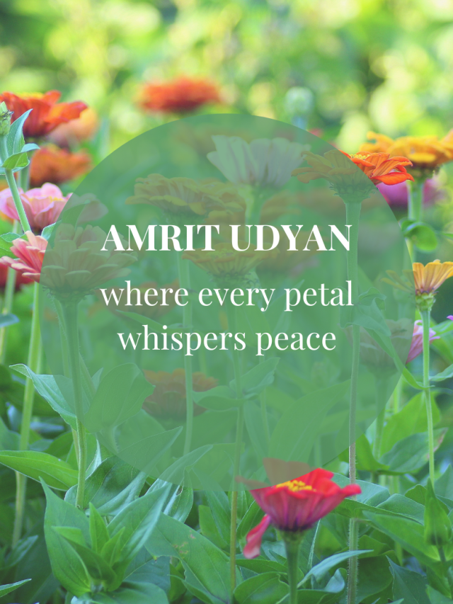 All you need to know – Amrit Udyan