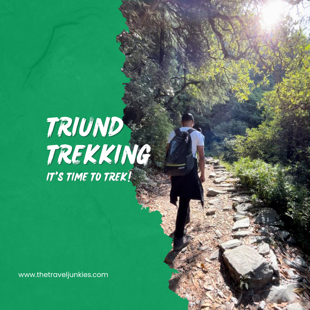 Triund Trekking