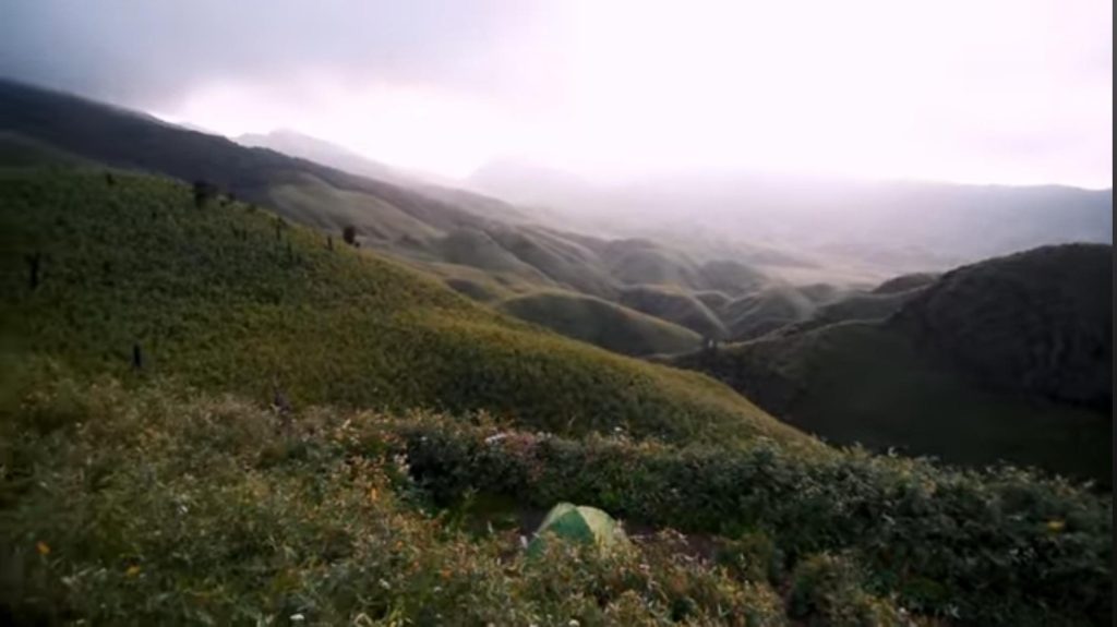 #dzukou valley
#about dzukou valley
#best time to visit dzukou valley
#dzukou trek
#dzukou valley best time to visit
#dzukou valley contact number
#dzukou valley flowering season
#dzukou valley flowers
#dzukou valley guest house
#dzukou valley how to reach
#dzukou valley in april
#dzukou valley in august
#dzukou valley in december
#dzukou valley in july
#dzukou valley in june
#dzukou valley in march
#dzukou valley in may
#dzukou valley in november
#dzukou valley in october
#dzukou valley stay
#dzukou valley trek
#dzukou valley trek best time
#dzukou valley trek cost
#dzukou valley trek route
#dzukou valley trek time
#dzukou valley trekking
#dzukou valley trip
#dzukou valley trip cost
#dzukou valley trip plan
#dzükou valley guest house
#dzükou valley trek
