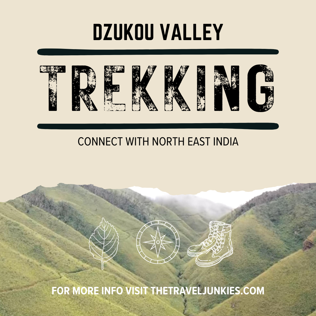 Dzukou Valley Cover Page