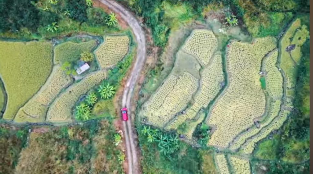 #dzukou valley
#about dzukou valley
#best time to visit dzukou valley
#dzukou trek
#dzukou valley best time to visit
#dzukou valley contact number
#dzukou valley flowering season
#dzukou valley flowers
#dzukou valley guest house
#dzukou valley how to reach
#dzukou valley in april
#dzukou valley in august
#dzukou valley in december
#dzukou valley in july
#dzukou valley in june
#dzukou valley in march
#dzukou valley in may
#dzukou valley in november
#dzukou valley in october
#dzukou valley stay
#dzukou valley trek
#dzukou valley trek best time
#dzukou valley trek cost
#dzukou valley trek route
#dzukou valley trek time
#dzukou valley trekking
#dzukou valley trip
#dzukou valley trip cost
#dzukou valley trip plan
#dzükou valley guest house
#dzükou valley trek
