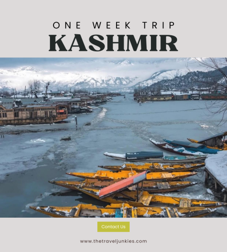 Kashmir Trip