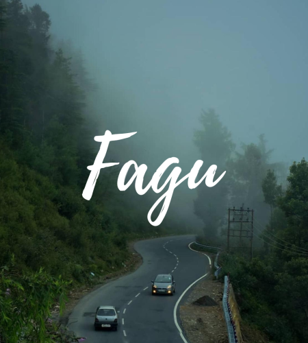 Fagu - Kufri, Shimla