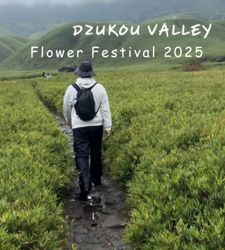 Dzukou Flower Festival 2025