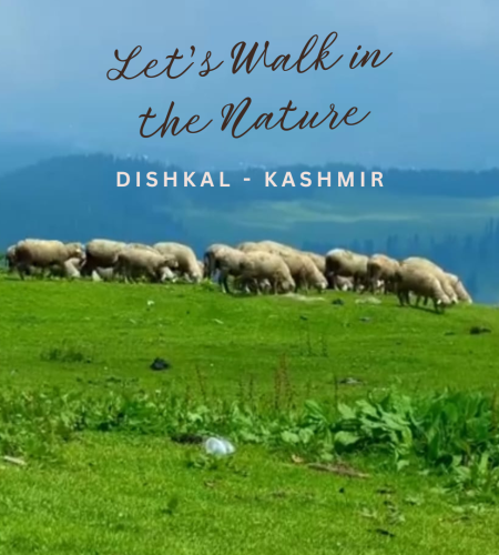 Dishkal Kashmir: A Hidden Meadow
