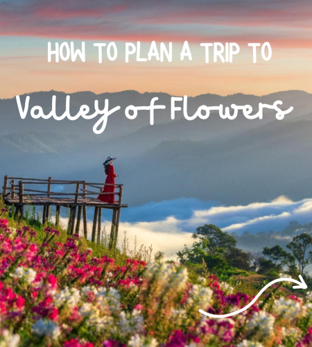 Valley of Flowers